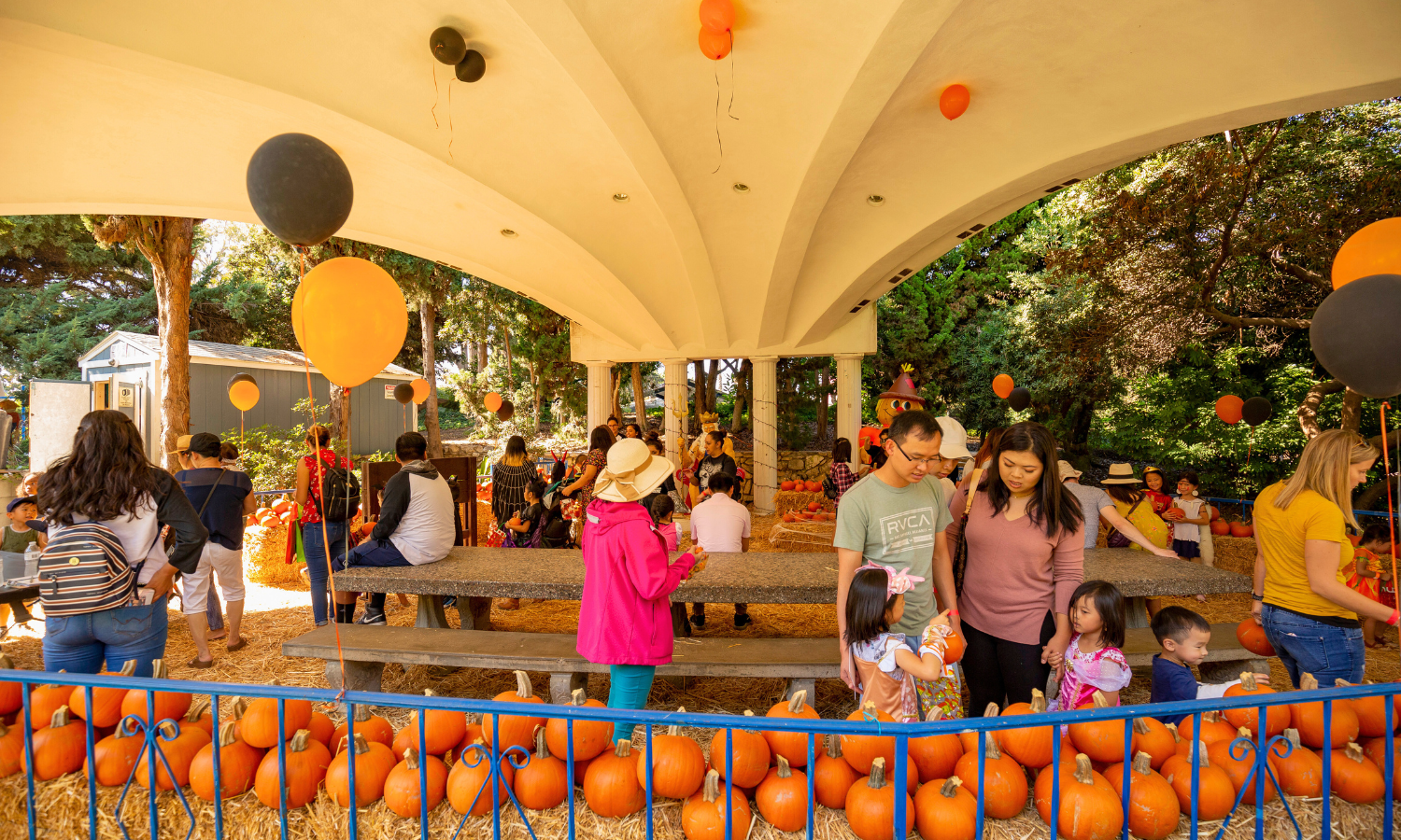 Jack O&#039; Lantern Jamboree Community Event