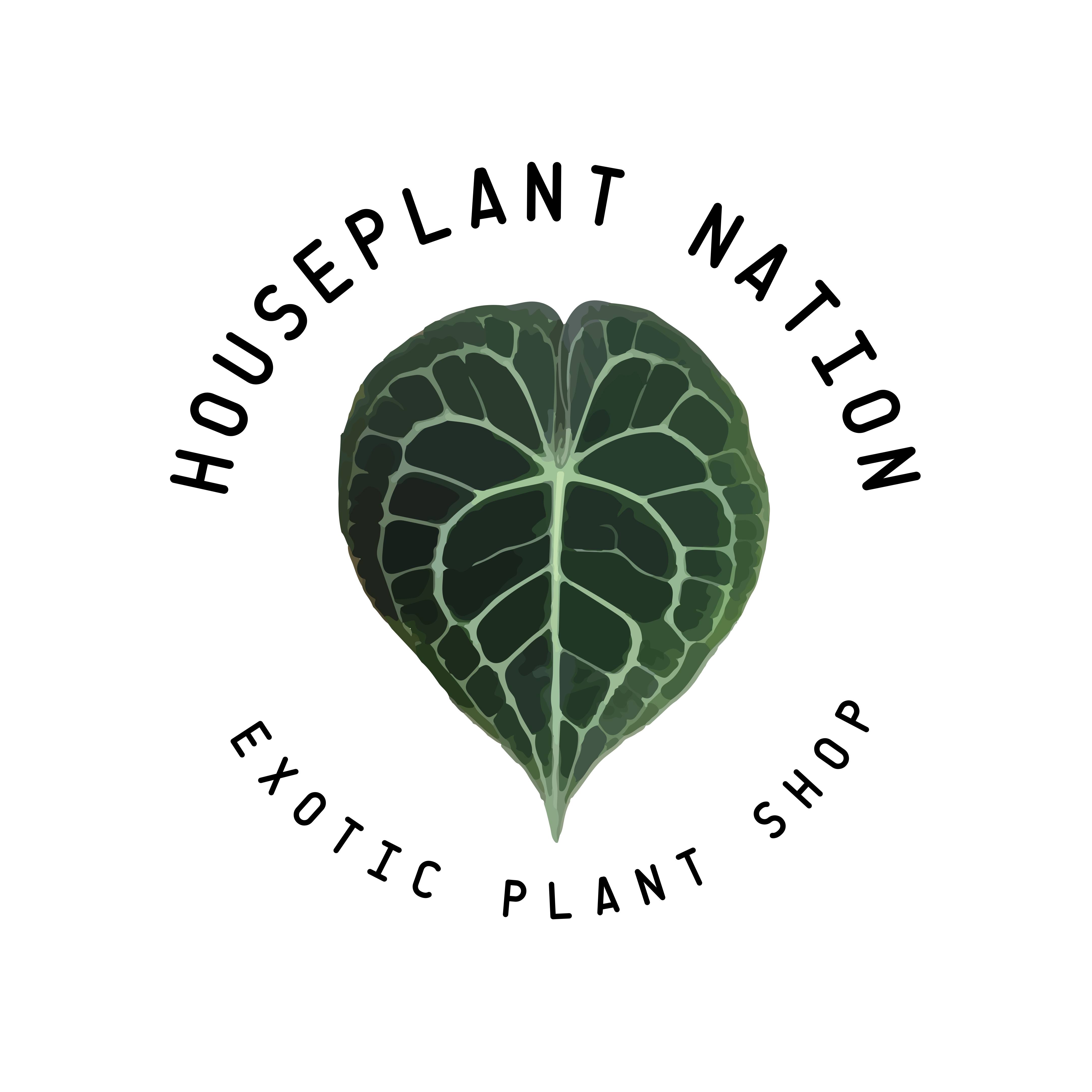 Houseplant Nation