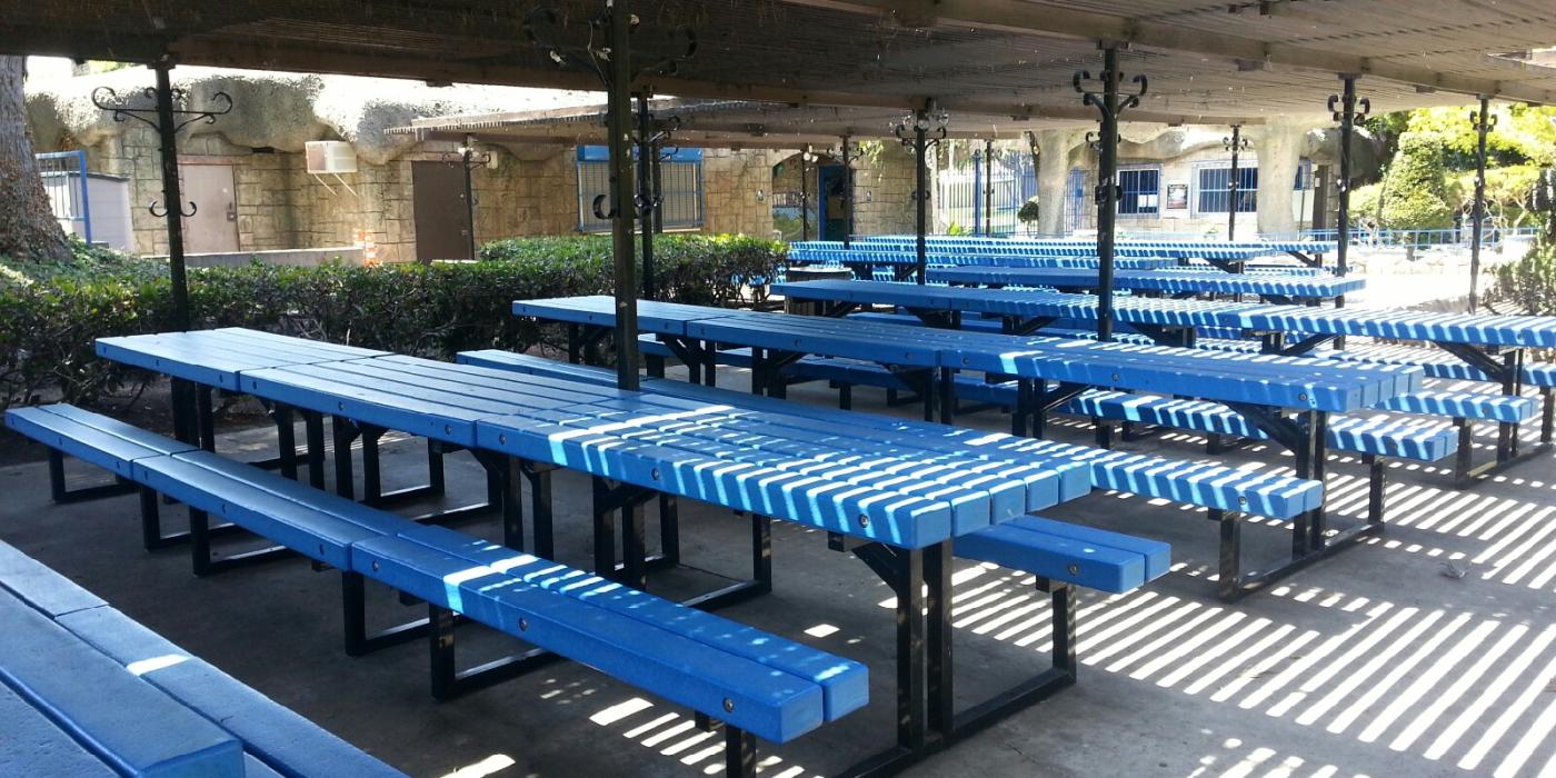 Covered outdoor picnic shelter with multiple blue picnic tables and benches in a park setting.