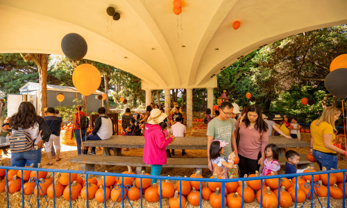 Jack O' Lantern Jamboree Community Event