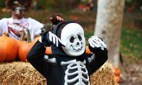 Image from the 2015 Jack O'Lantern Jamboree.