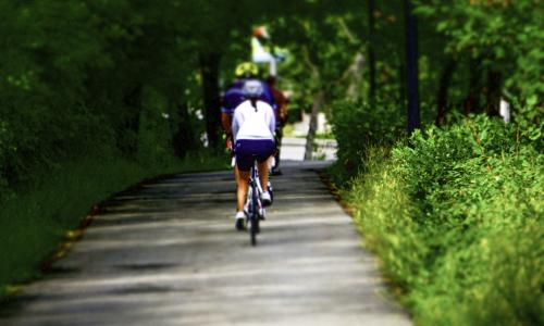 Photo of a bicyclist riding under greenery through a park.