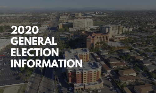 2020 general election information preview image.