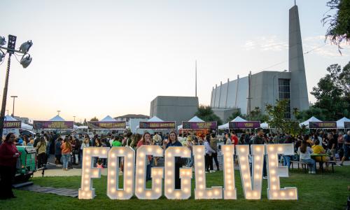 FOGGLIVE