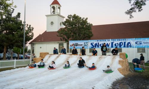 Snowtopia at Winter in the Grove