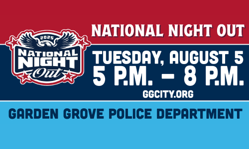 National Night Out 2025