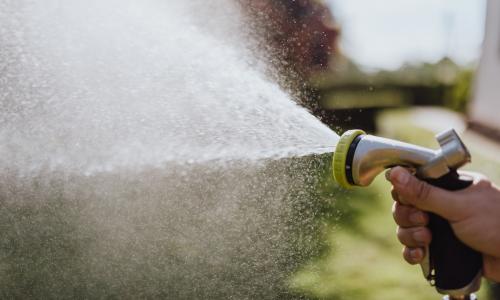 Individual watering grass.