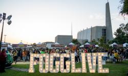 FOGGLIVE