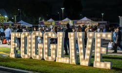 FOGGLIVE
