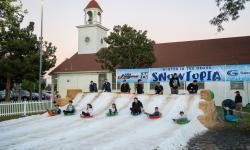 Snowtopia at Winter in the Grove