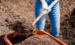 Compost Giveaway