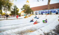 Snowtopia at Winter in the Grove