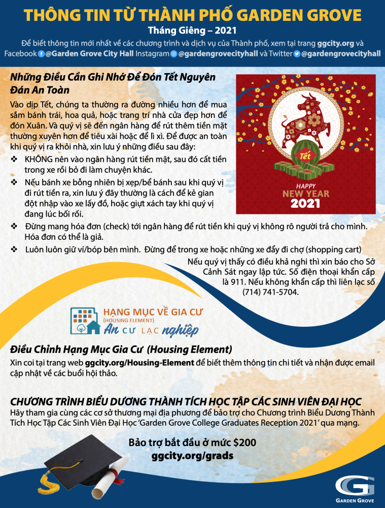 Viet Newsletter - January 2021
