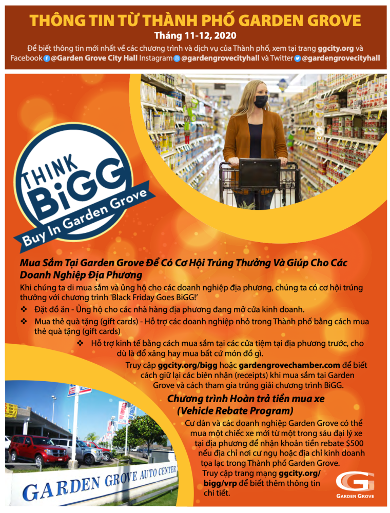 Viet Newsletter November - December
