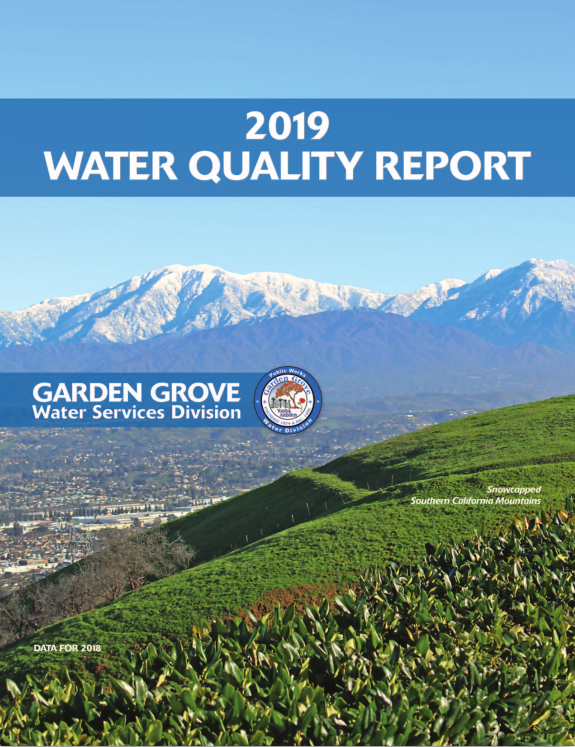 2019 Water Quality Report
