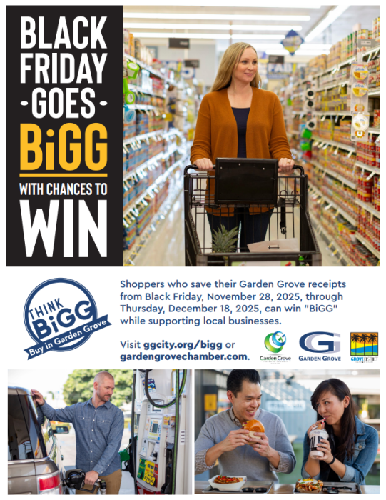 Black Friday Goes BiGG Flyer 