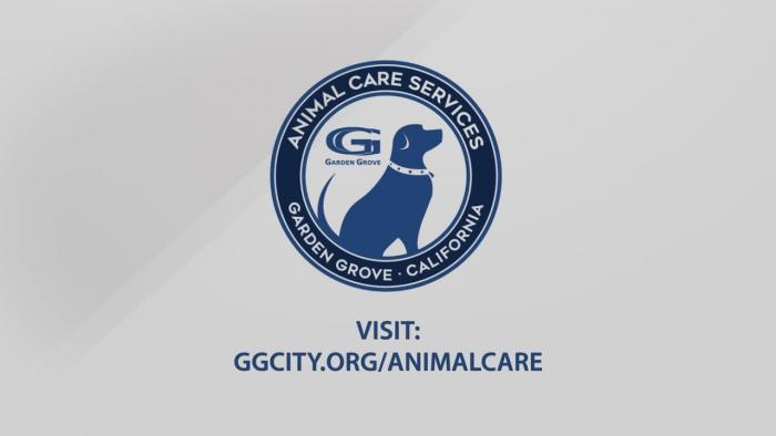 Garden Grove Animal Care Serving You